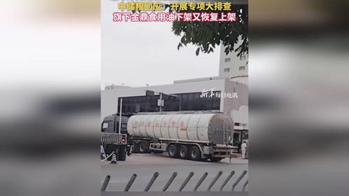 食用油安全風波再起 中儲糧金鼎疑遭污染，官方緊急行動凸顯行業隱憂