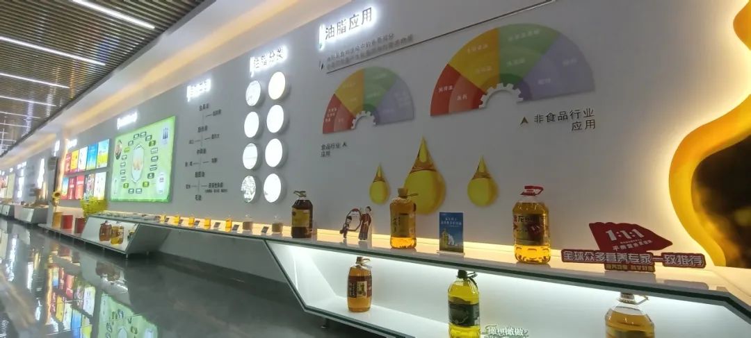 消費者親探益海嘉里金龍魚工廠 開啟安全健康之旅，探尋放心食用油的奧秘